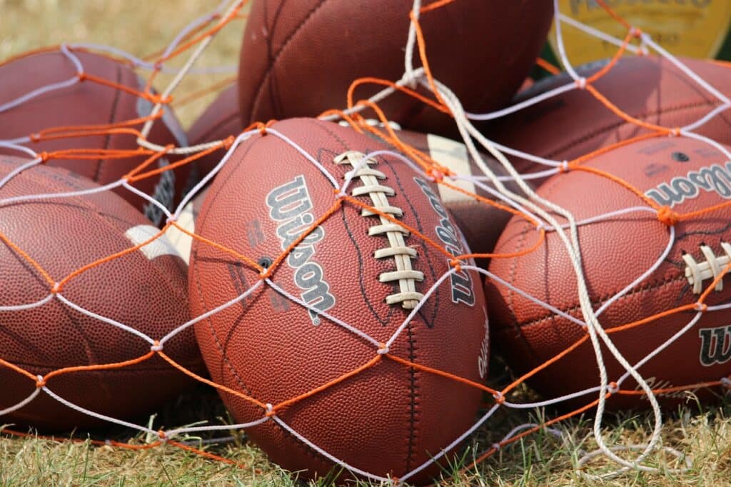 A bag full of footballs. 